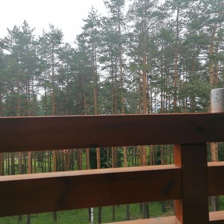 Apartman Nele Zlatibor Esterno foto