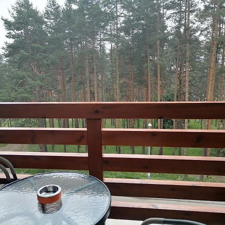 Apartman Nele Zlatibor Esterno foto