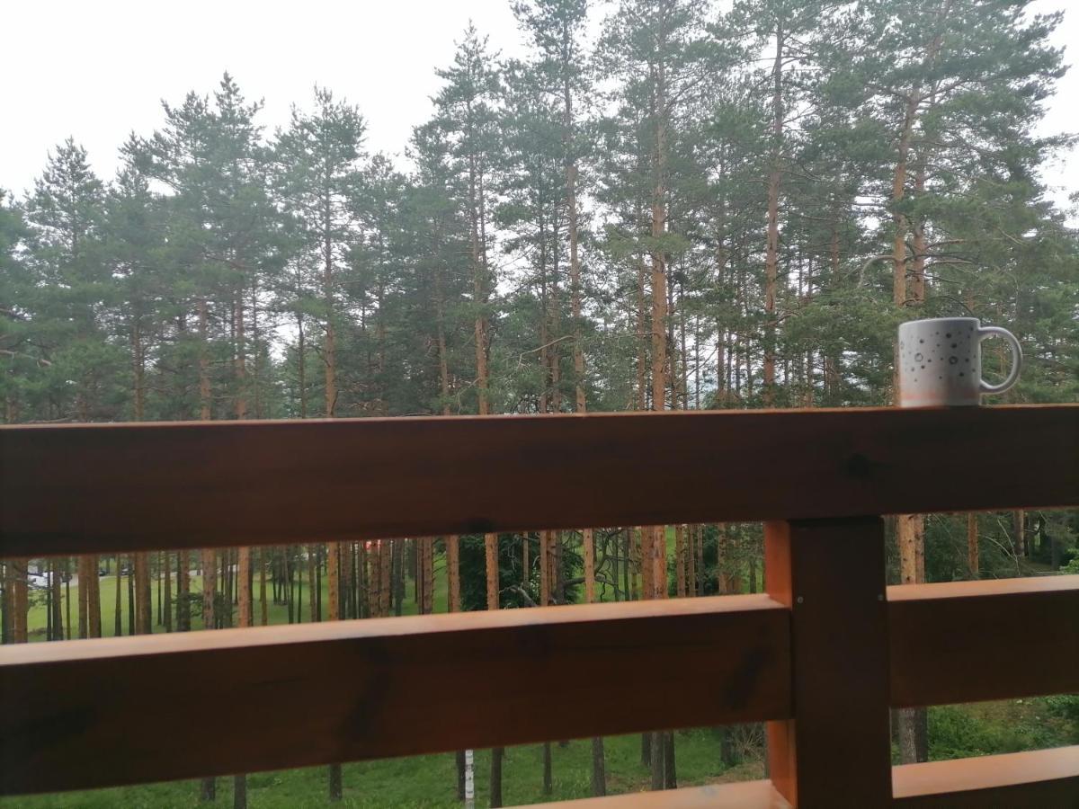 Apartman Nele Zlatibor Esterno foto