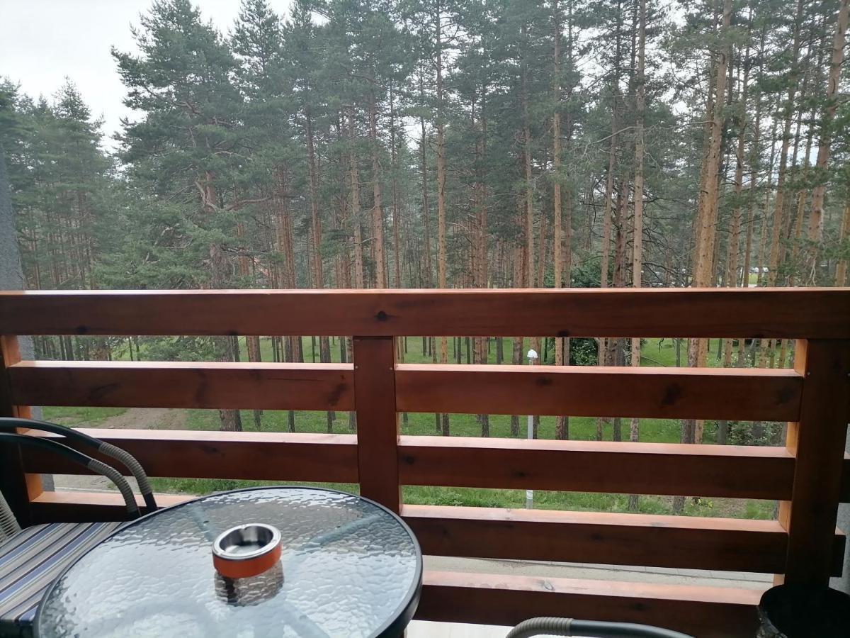 Apartman Nele Zlatibor Esterno foto