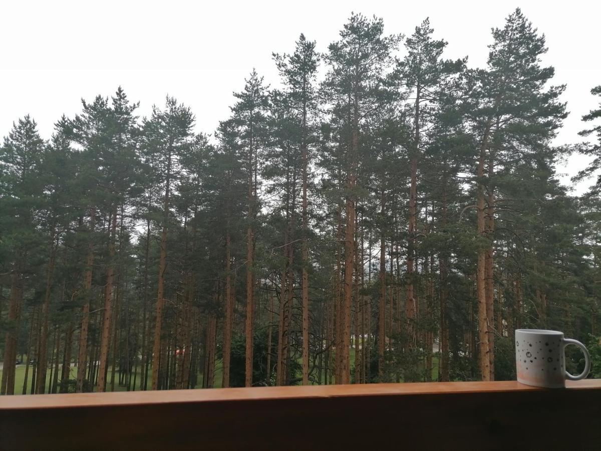 Apartman Nele Zlatibor Esterno foto